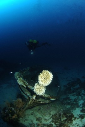 _dsf2063 - copietaille900